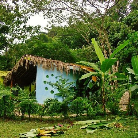 Casa Caracol Hotell San Luis Potosí Exteriör bild
