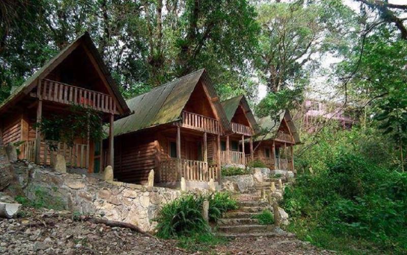 Casa Caracol Hotell San Luis Potosí Exteriör bild